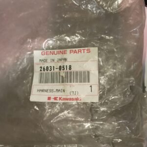 Cableado - Instalación Eléctrica Principal Kawasaki Ninja ZX-14 / ZZR1400 (OEM: 26031-0518)